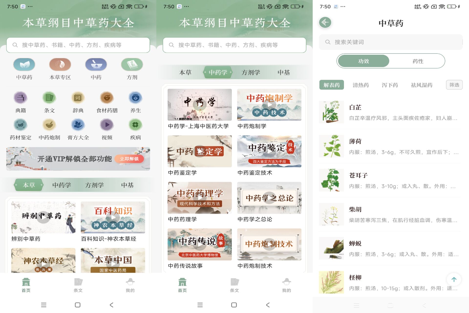 本草纲目中草药大全_www.jishuyy.com