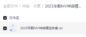 【无损音乐】2025车载MV神曲精选合集_www.jishuyy.com