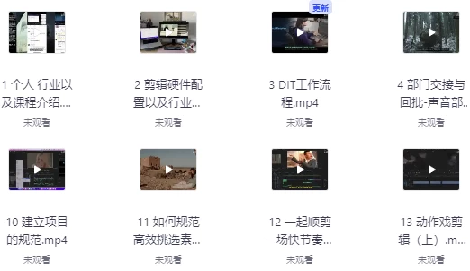莱尼日记影视剪辑全流程入门+短剧实战课 - 带素材_www.jishuyy.com