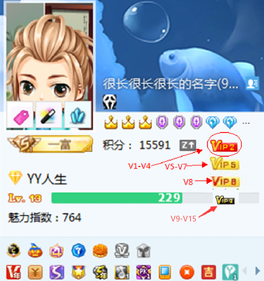 YY会员新等级vip15图标在电脑YY资料卡上什么样_www.jishuyy.com