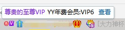 什么是YY至尊VIP_www.jishuyy.com