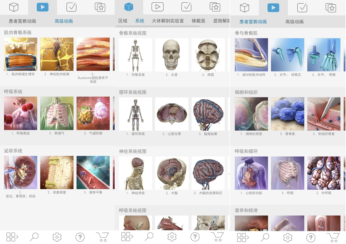 Atlas 人体解剖学图谱 v2026.00.019 高级版_www.jishuyy.com