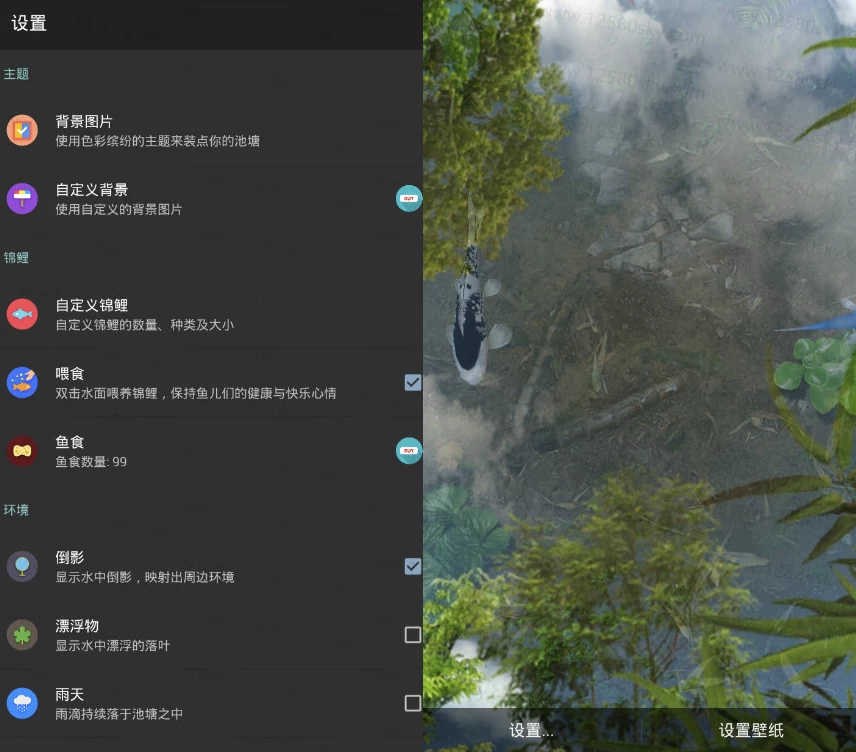 鱼池 v2.04 逼真的锦鲤池塘动态壁纸_www.jishuyy.com