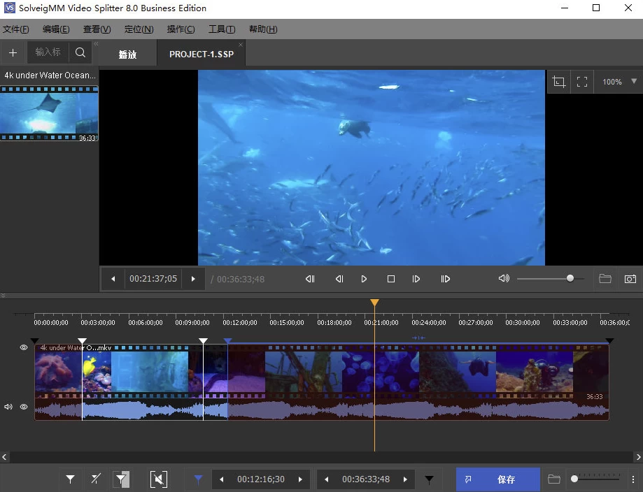 SolveigMM Video Splitter 视频剪辑 v8.2.2510.10 特别版_www.jishuyy.com