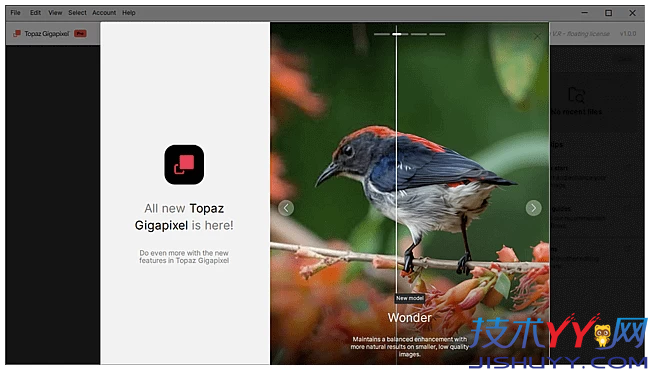Topaz Gigapixel Pro 图像超分辨率软件 v1.0.4 直装破解版_www.jishuyy.com
