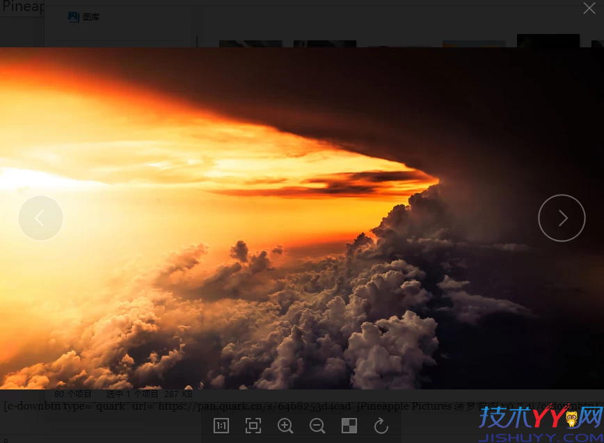 Pineapple Pictures 菠萝看图 v1.2.1 中文便携版 开源图片浏览器_www.jishuyy.com