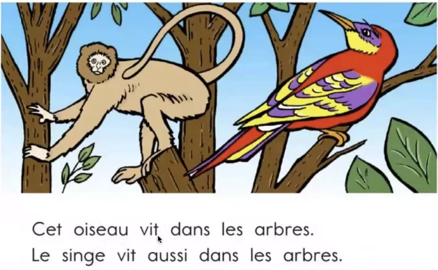 French for youth 少儿法语课_www.jishuyy.com