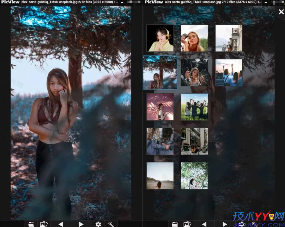 PicView v4.1.1 开源免费图像浏览器 中文多语绿色版_www.jishuyy.com