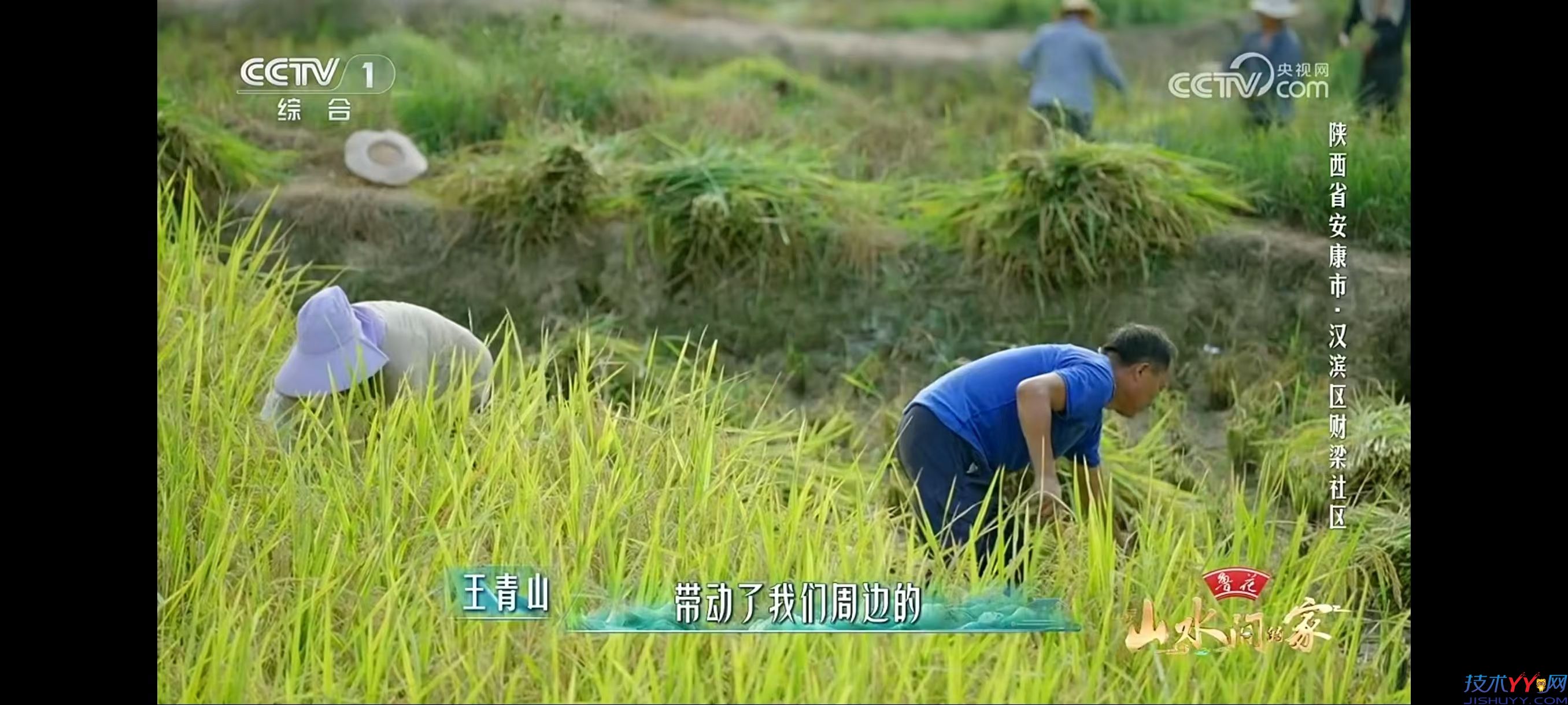 WebViewTV 2.1.1 开源 电视 永久使用支持 TV_www.jishuyy.com